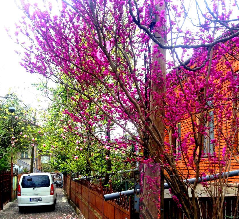 Colibri Home Kutaisi Exterior photo