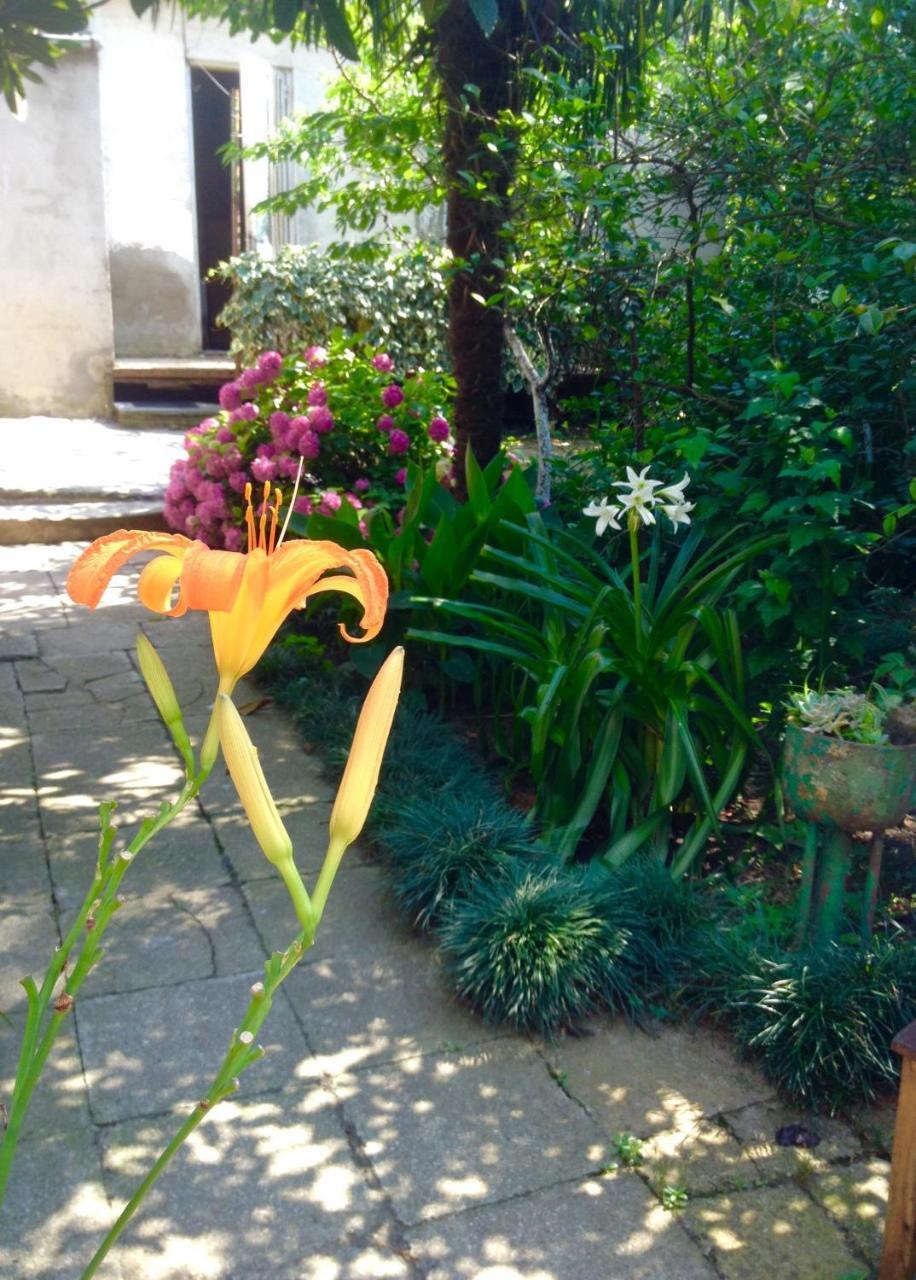 Colibri Home Kutaisi Exterior photo